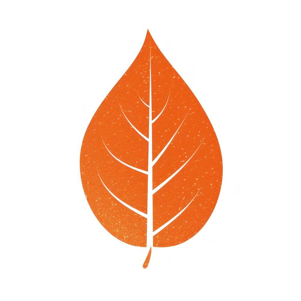 Orange leave icon plant leaf white background.