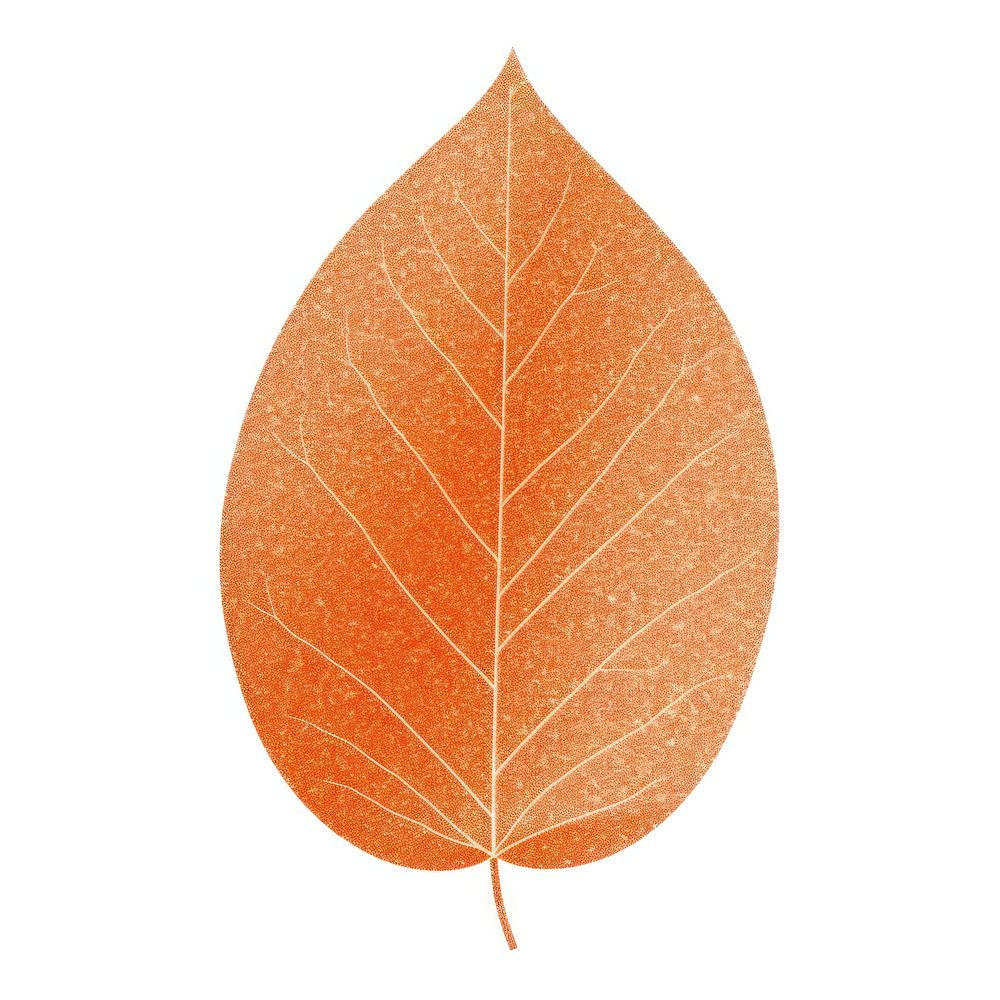 Orange leave icon nature plant shape.