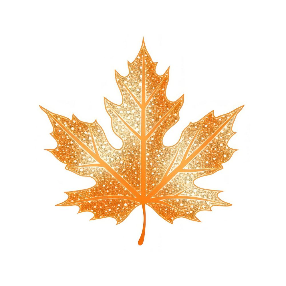 Orange maple leave icon plant shape leaf.