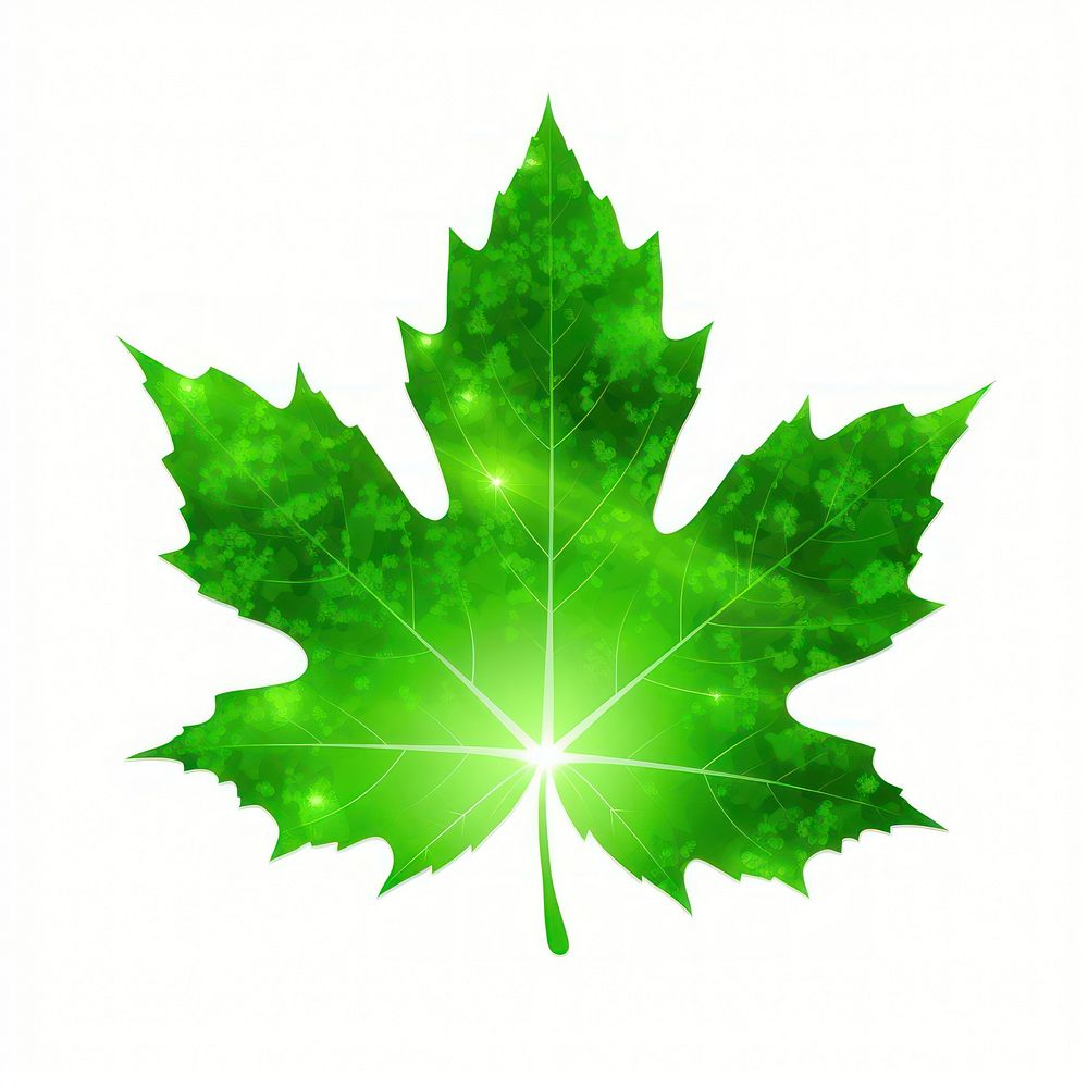 Maple leaf icon maple plant | Premium Photo Illustration - rawpixel