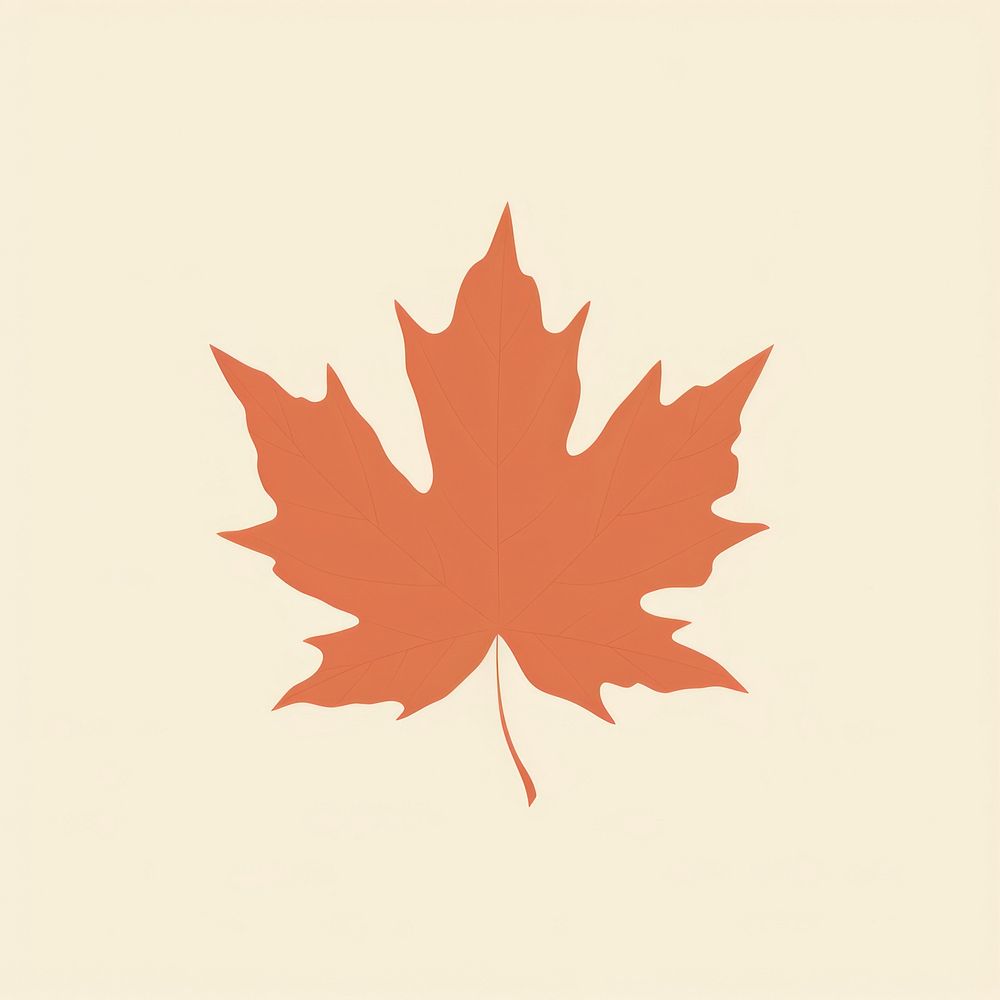 Illustration of a simple autumn leave leaves plant leaf.