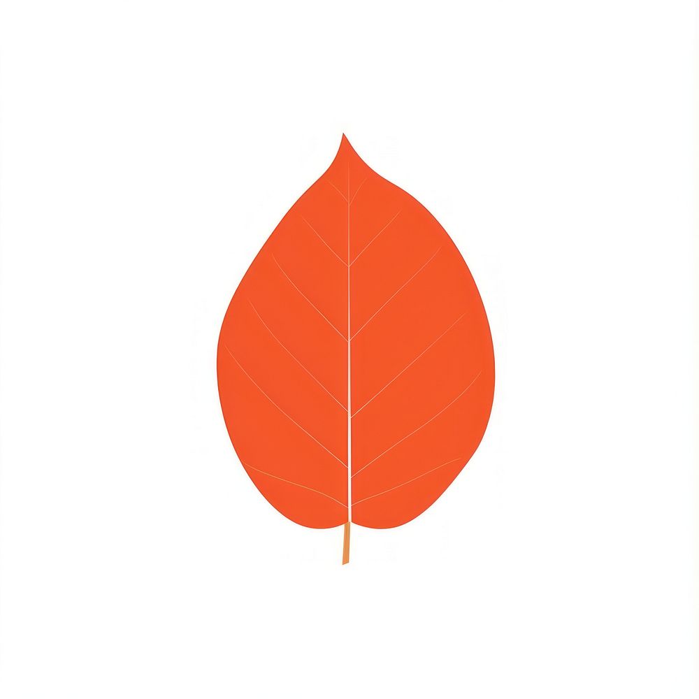 Illustration of a simple autumn leaves plant leaf falling.