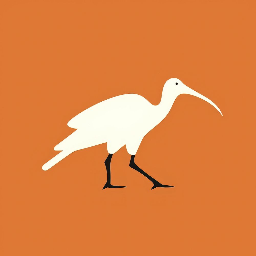 Illustration of a simple ibis animal bird beak.