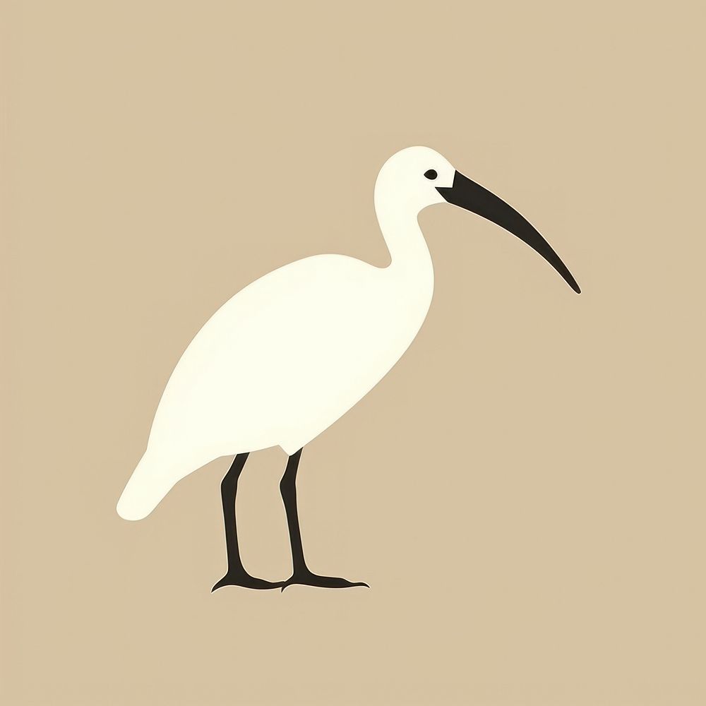 Illustration of a simple ibis animal bird beak.