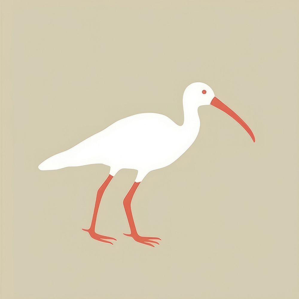 Illustration of a simple ibis animal bird beak.
