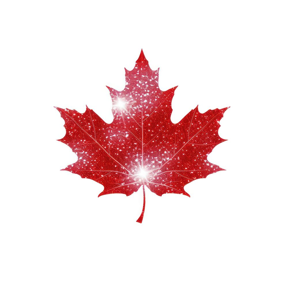 Maple leaf icon maple plant shape.
