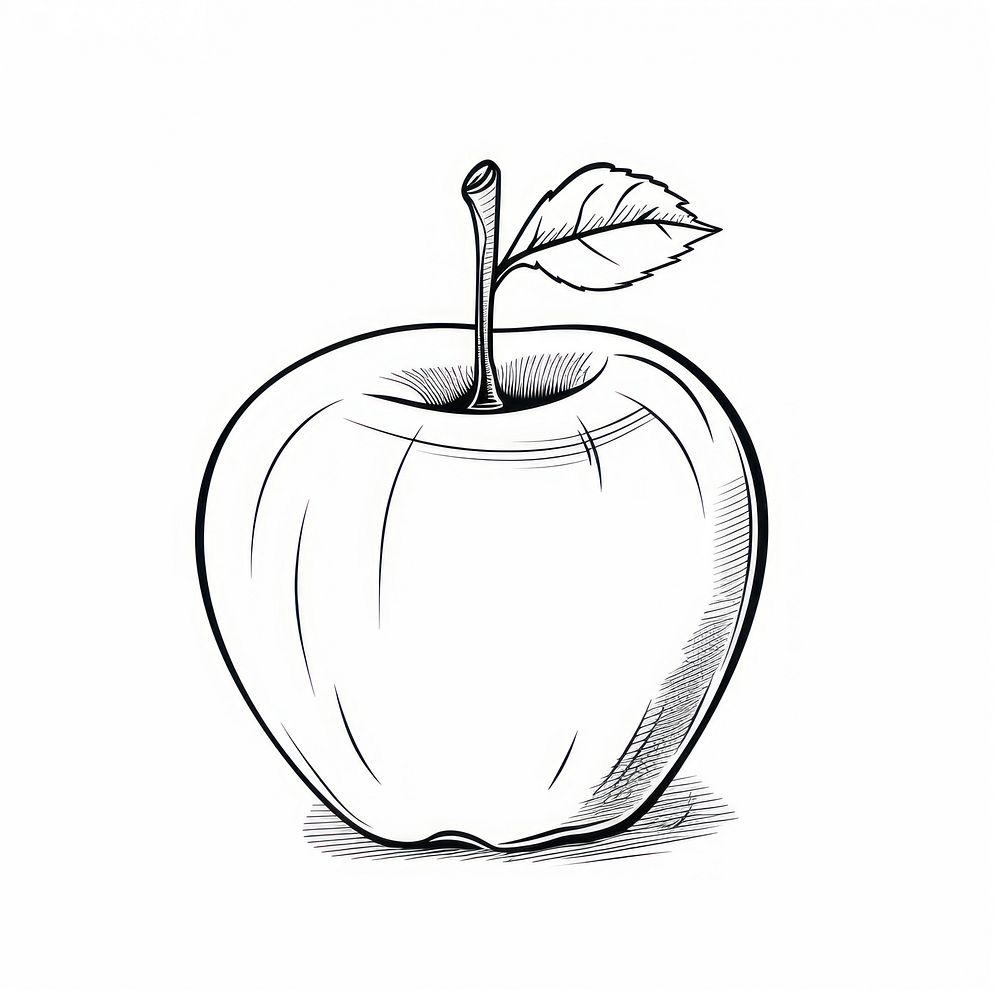 Apple sketch drawing fruit.