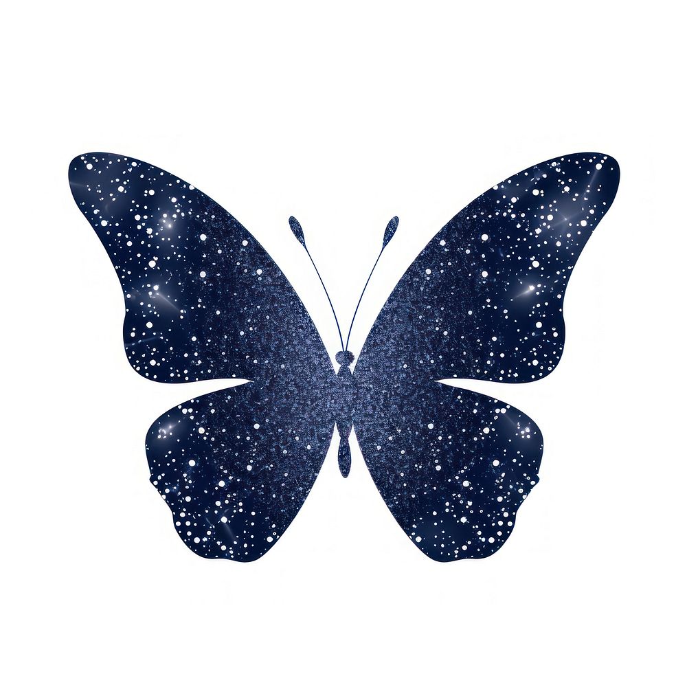 Navy blue color butterfly icon insect white background invertebrate.