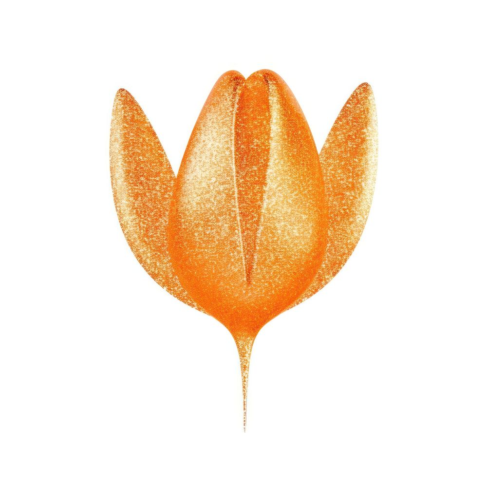 Orange tulip icon plant leaf white background.