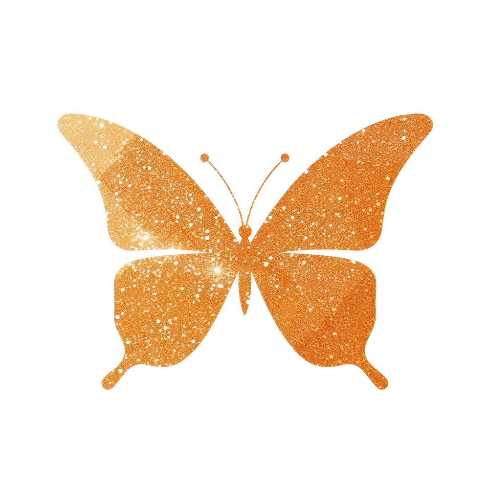 Orange color butterfly icon insect animal art.
