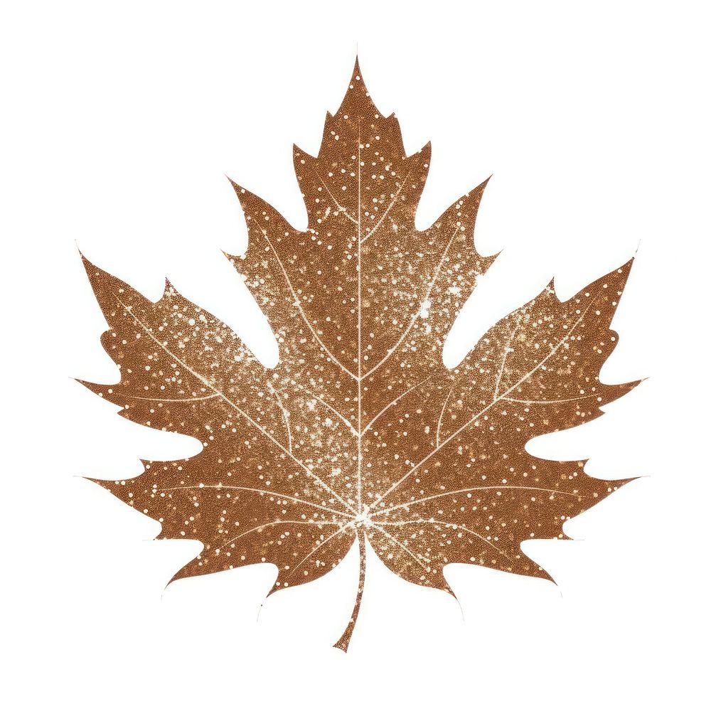 Brown color maple leaf icon plant shape tree.
