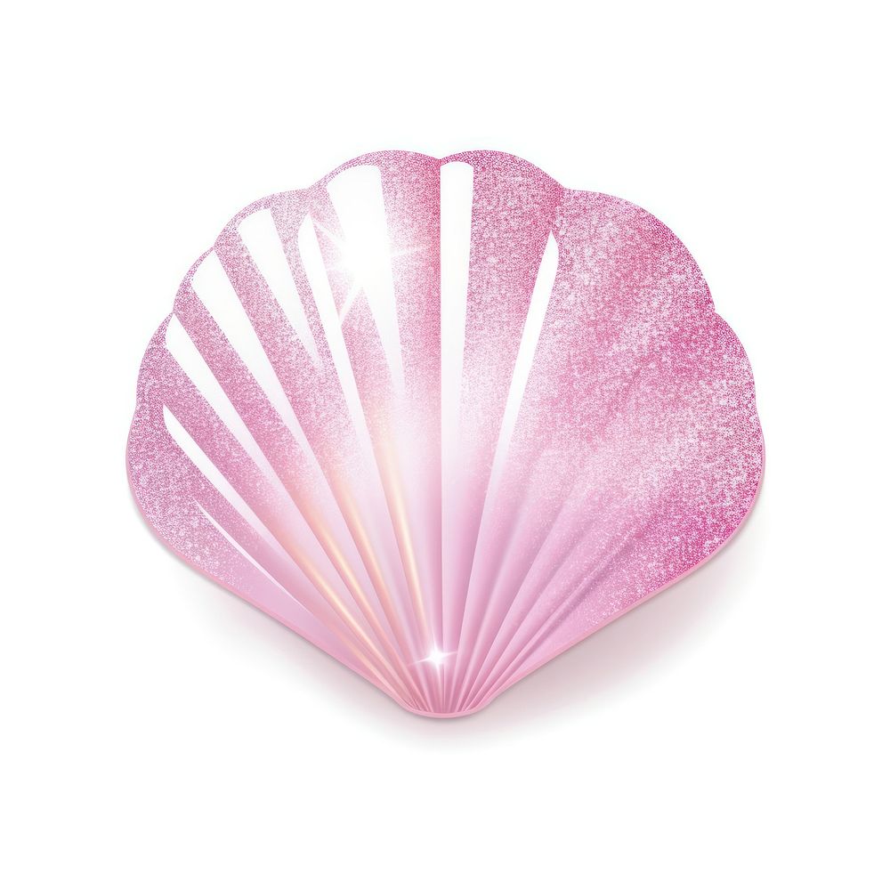 Pink color sea shell icon white background invertebrate freshness.