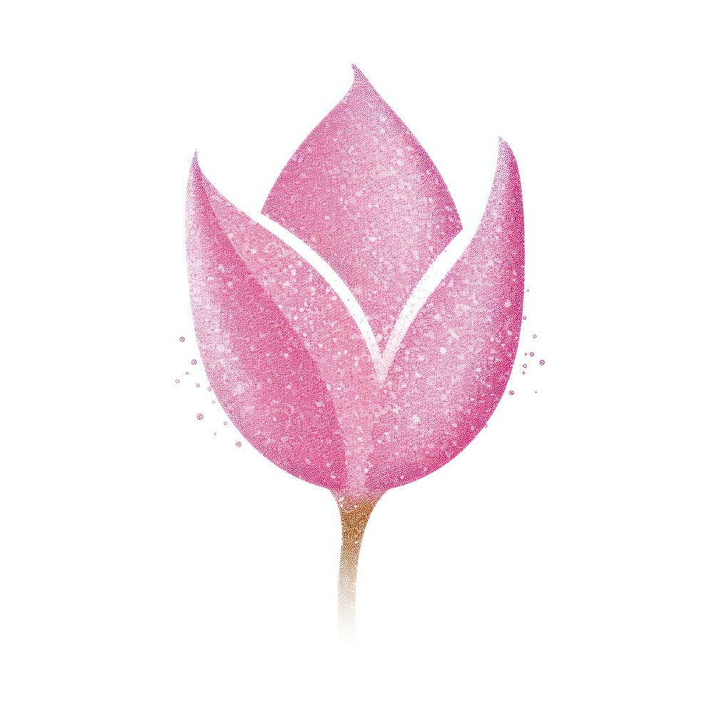 Pink tulip icon flower petal plant.