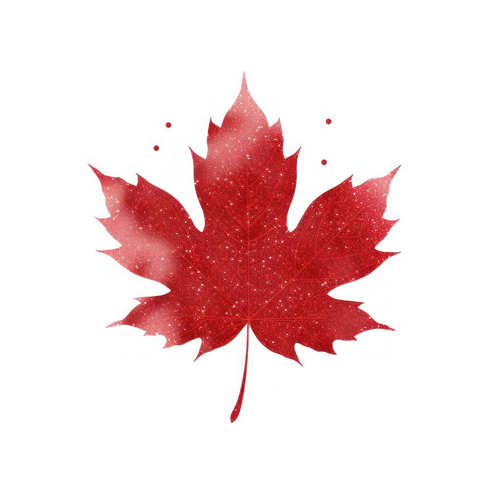 Red color maple leaf icon plant tree white background.