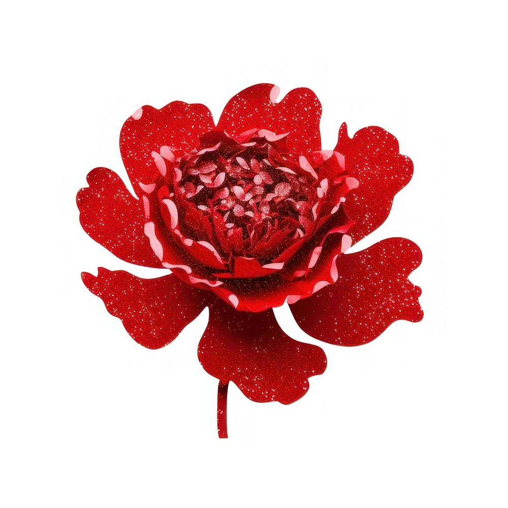 Red peony icon flower petal plant.
