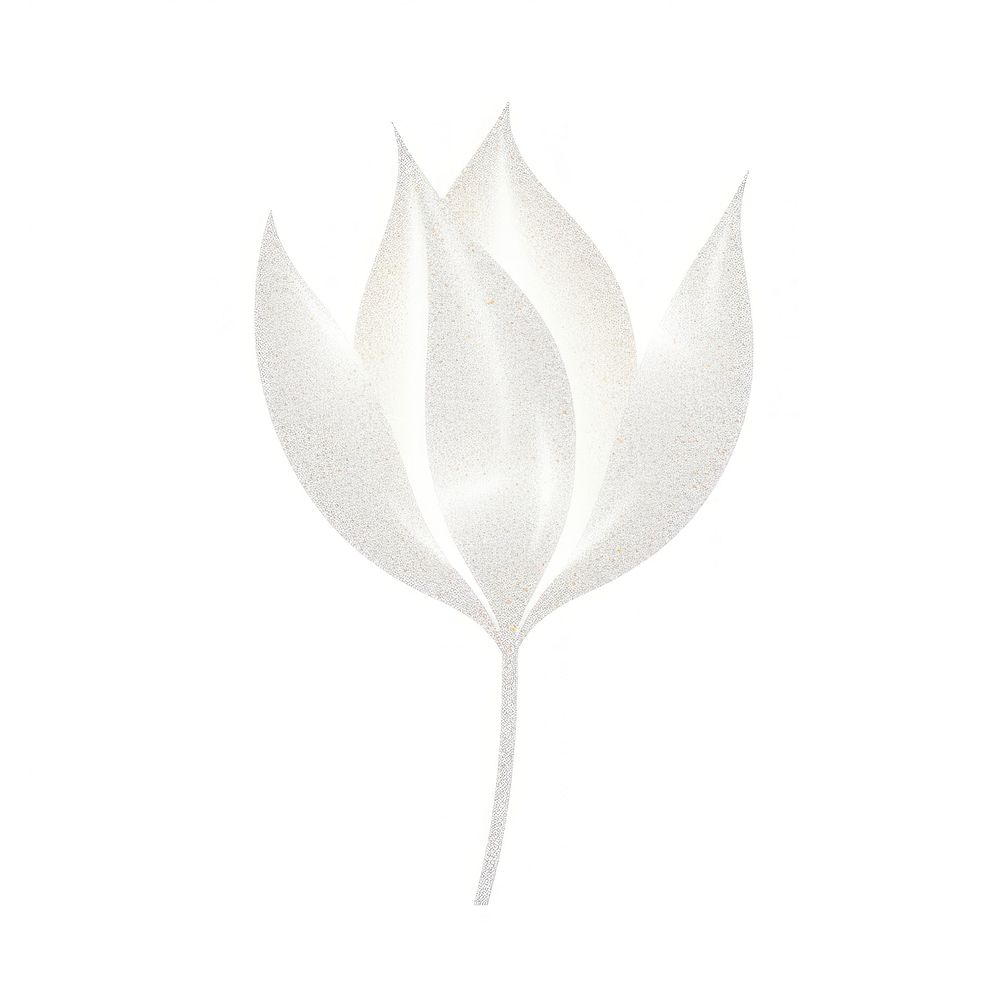 White tulip icon plant leaf white background.