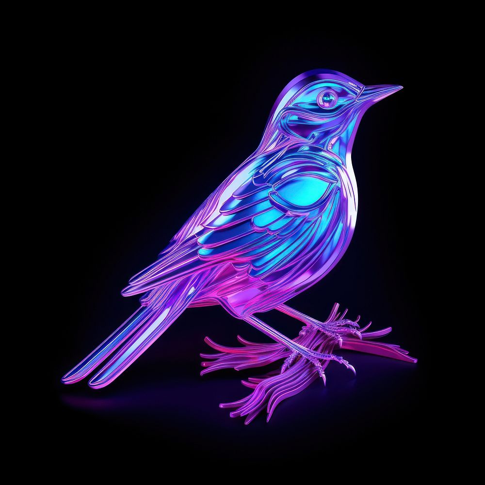 Bird animal purple creativity.
