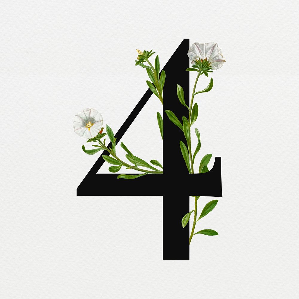 Number four floral digital art illustration