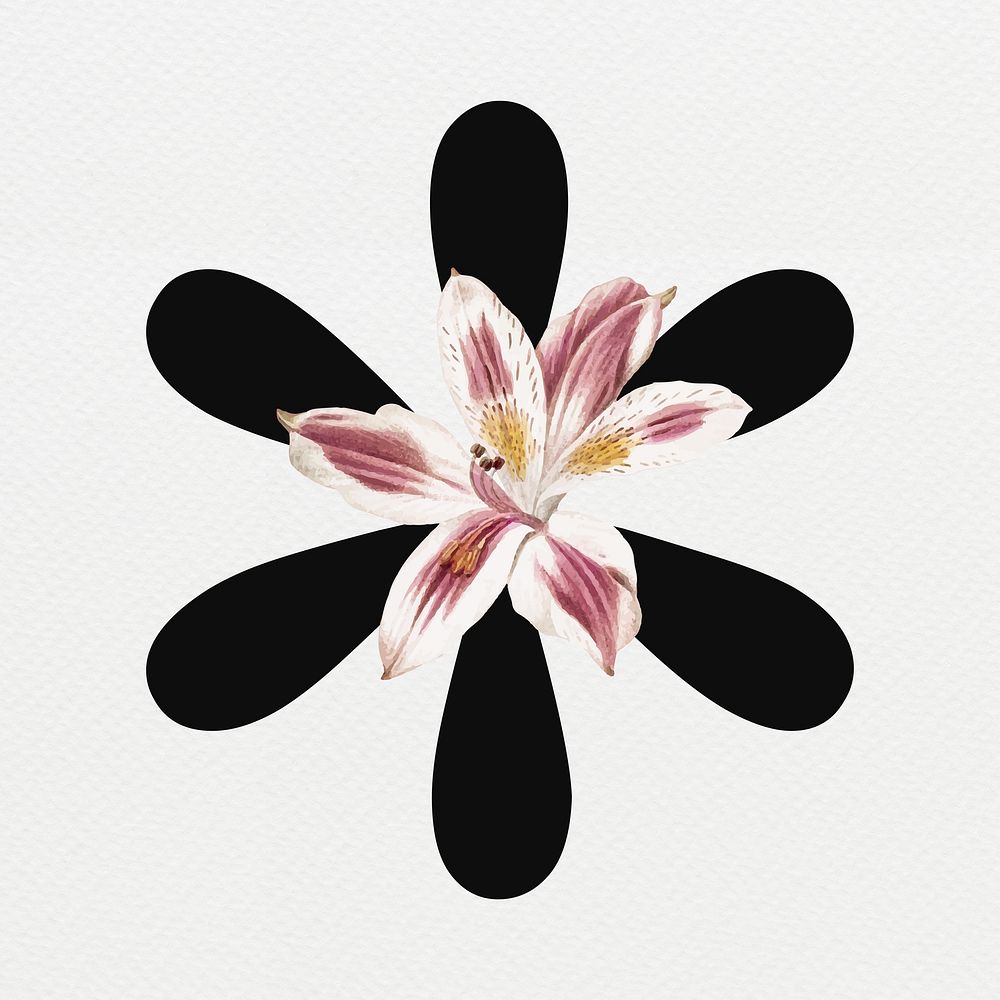 Floral asterisk sign digital art illustration