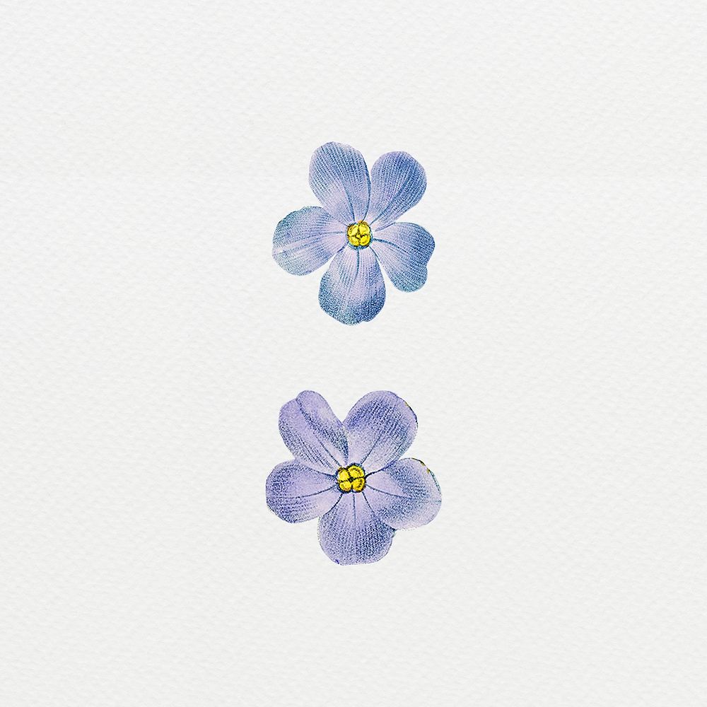Vintage blue flower digital art illustration