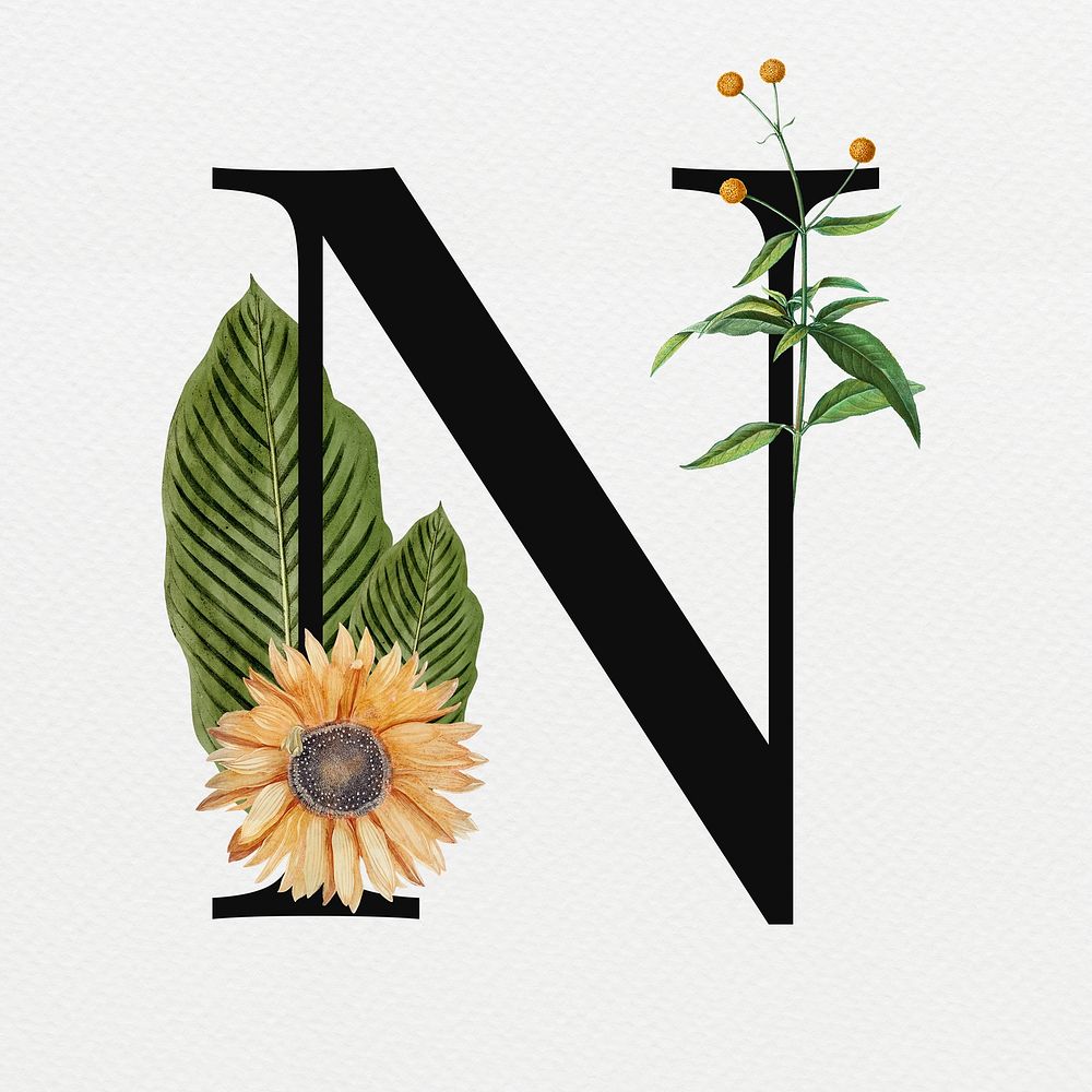 Floral letter N digital art illustration