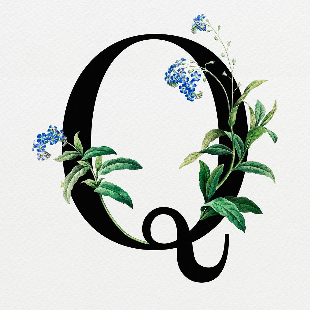 Floral letter Q digital art illustration