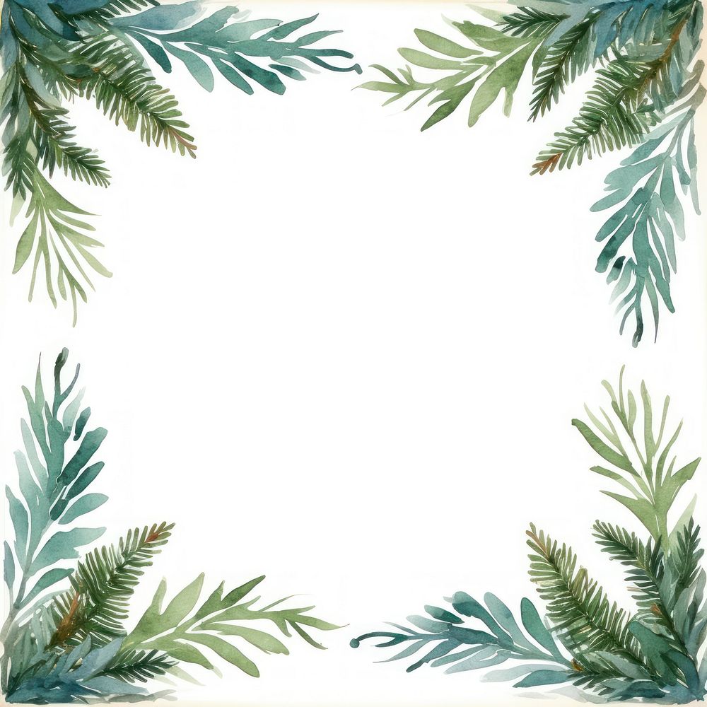 Pine leaves square border pattern backgrounds plant.