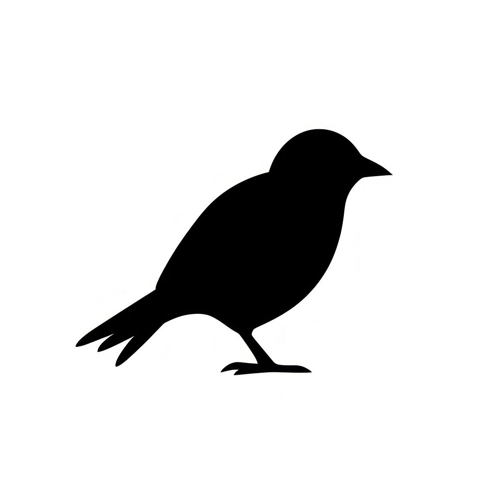 Crow logo icon silhouette blackbird animal.