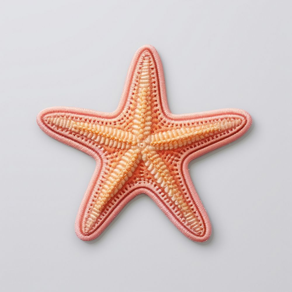 Starfish red invertebrate simplicity.