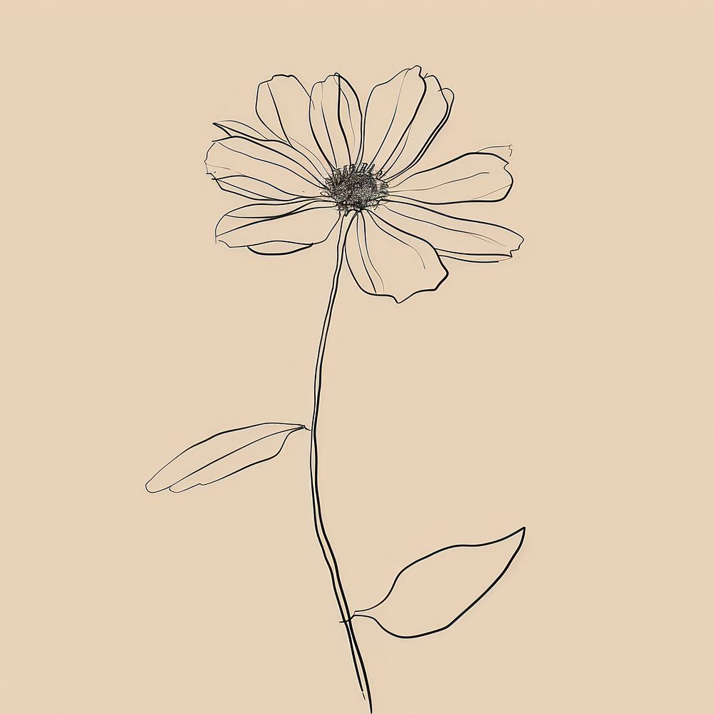 Hand drawn of daisy drawing sketch monochrome.