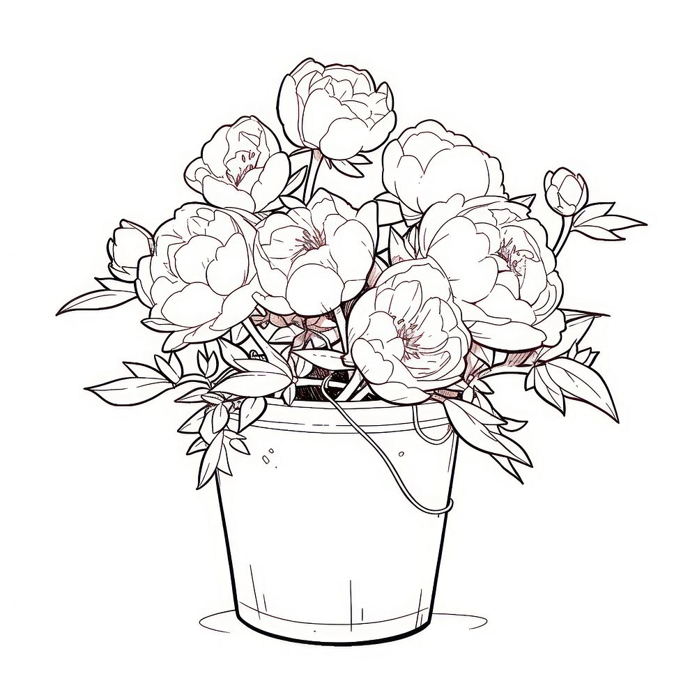 Outline sketching illustration of a peony pot cartoon drawing plant.