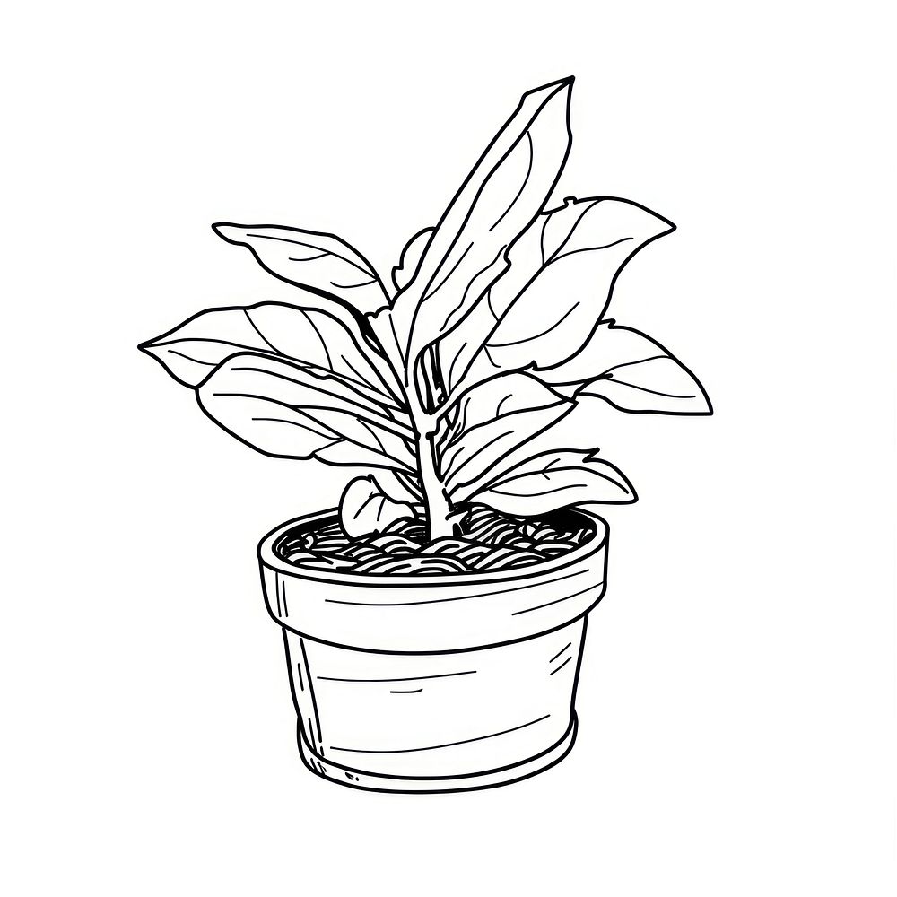 Outline sketching illustration of a plant pot cartoon drawing leaf.