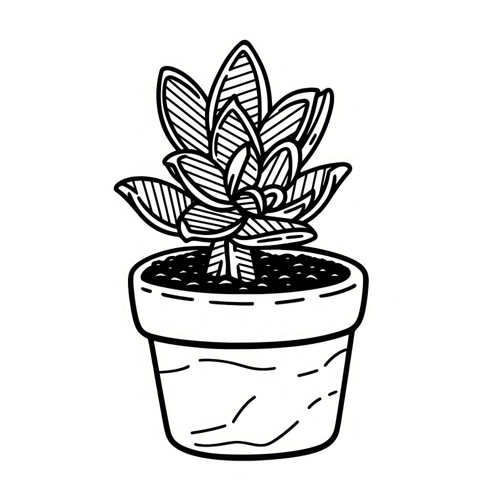 Outline sketching illustration of a plant pot cartoon drawing leaf.