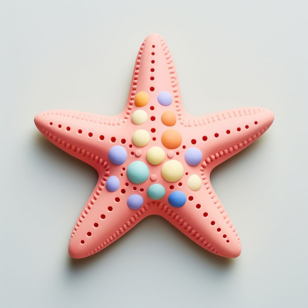Starfish invertebrate echinoderm appliance.