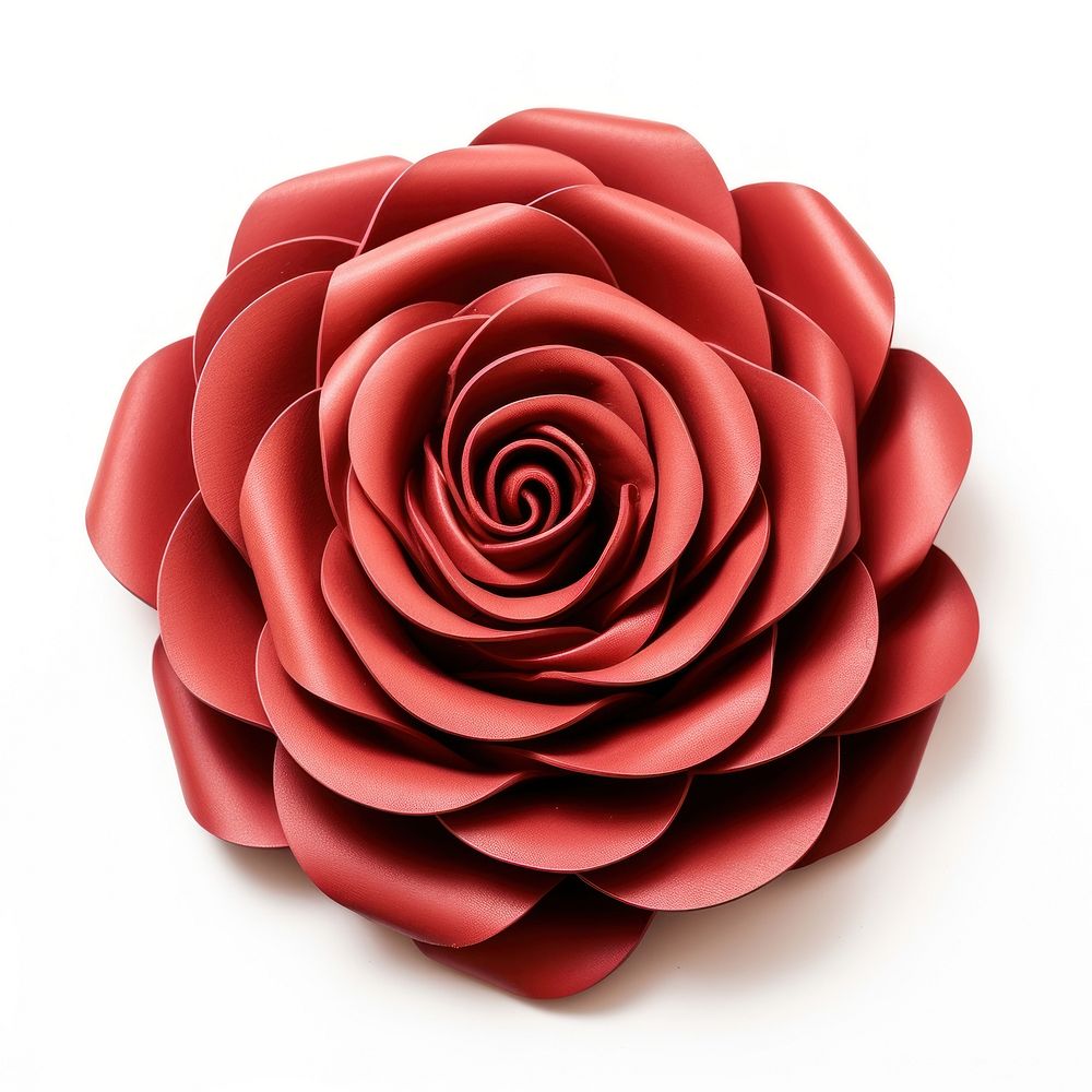 Brooch of rose flower plant white background.