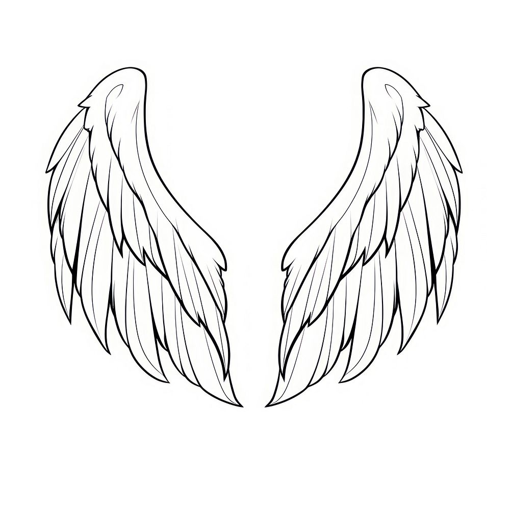 Illustration of a wing sketch cartoon drawing.