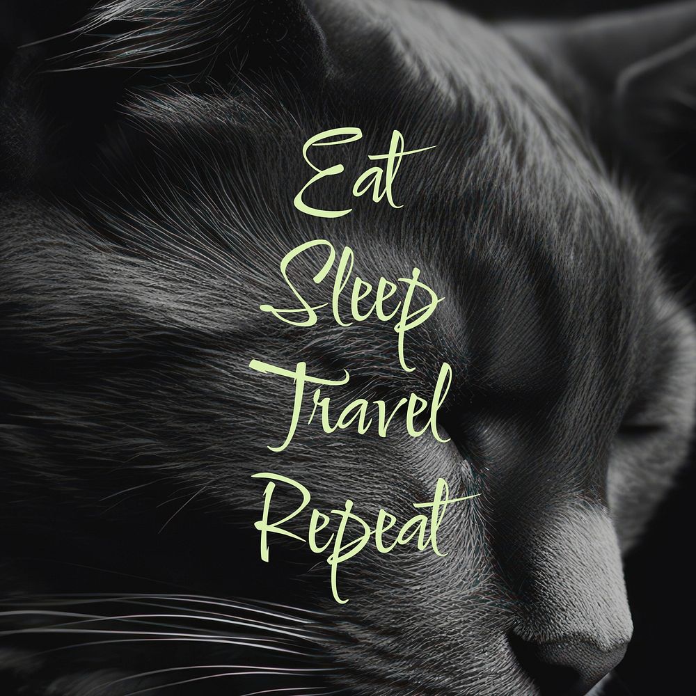 Eat sleep travel quote Facebook post template