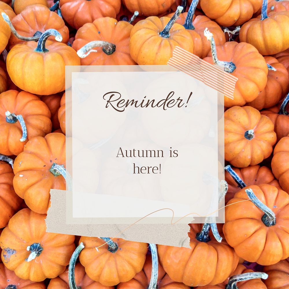 Autumn reminder Instagram post 