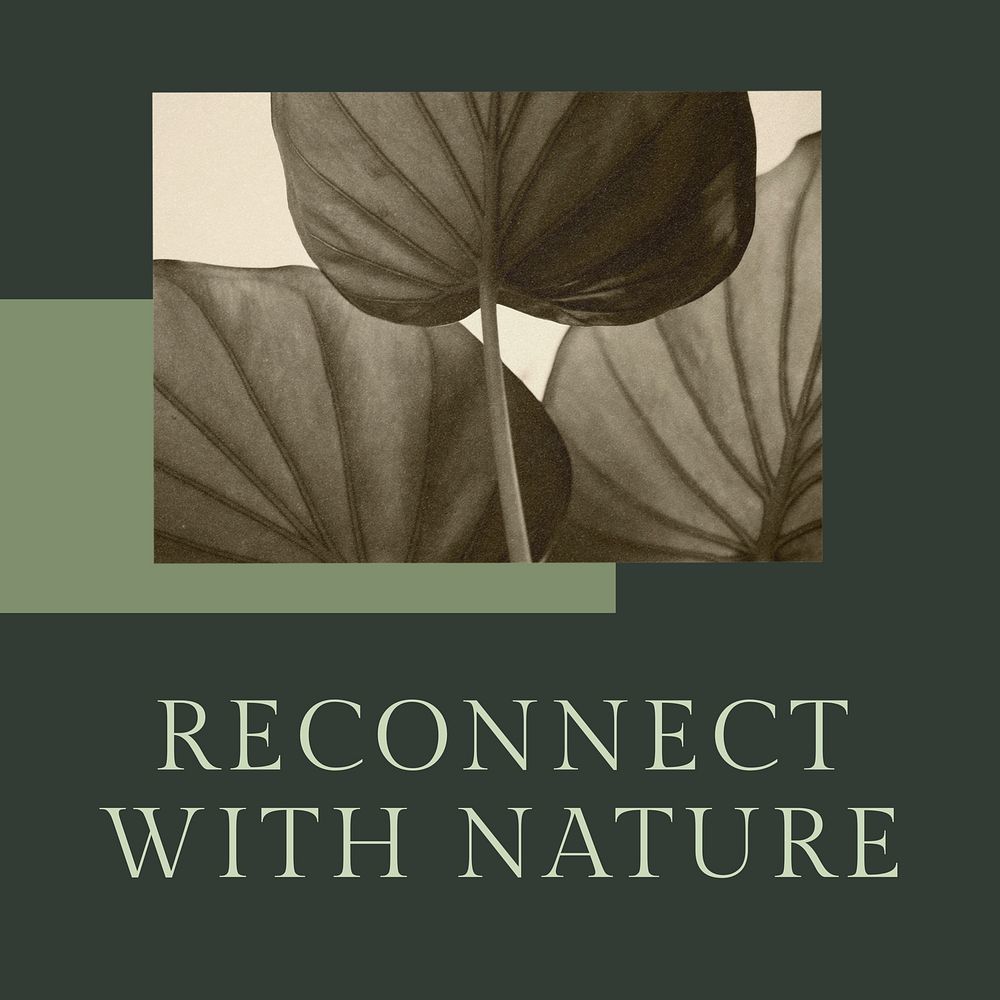Reconnect with nature Instagram post 