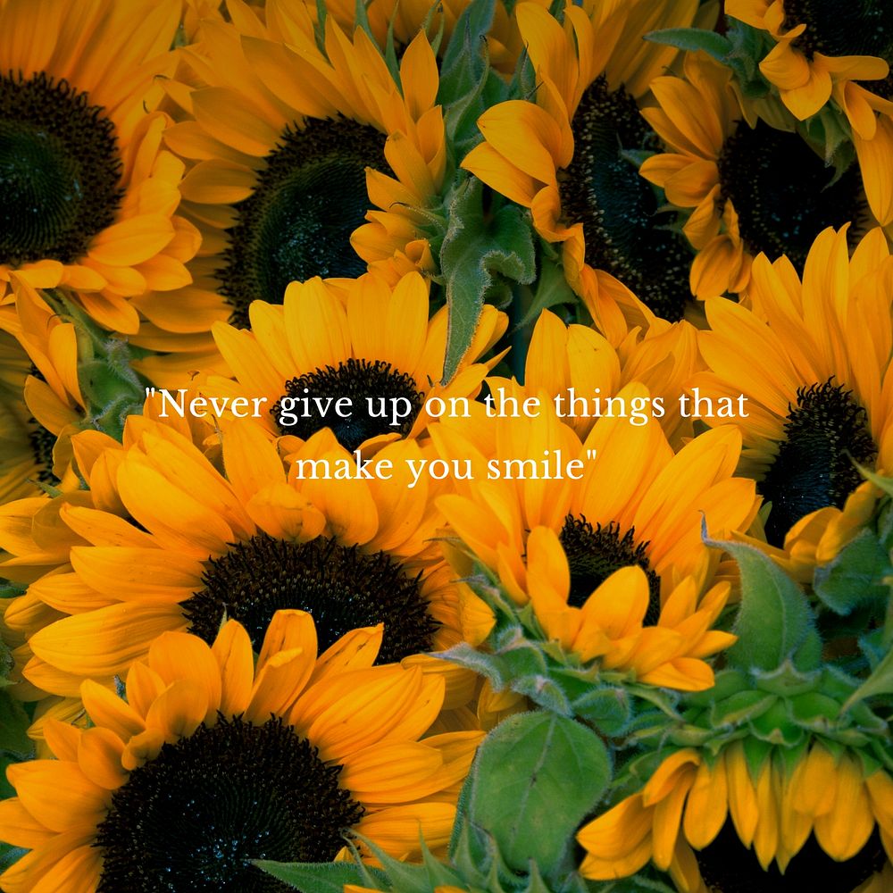 Never give up quote Facebook post template