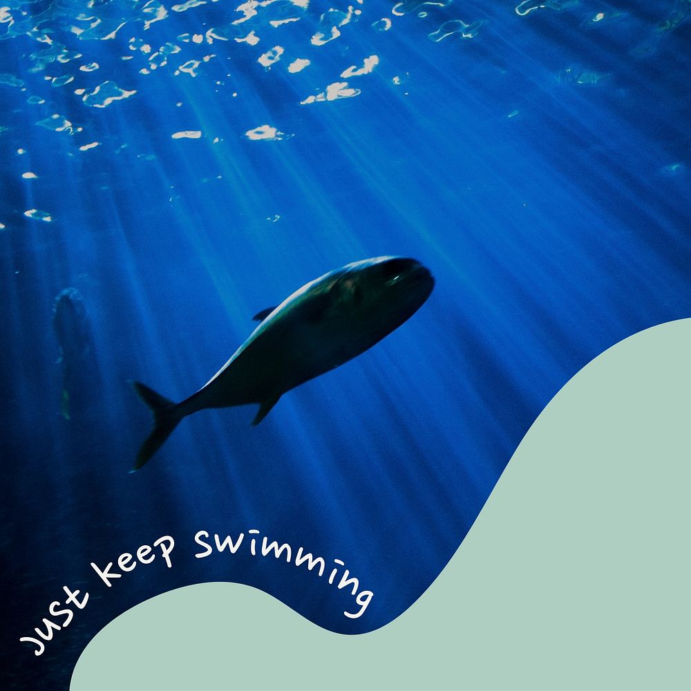 Keep swimming Instagram post 