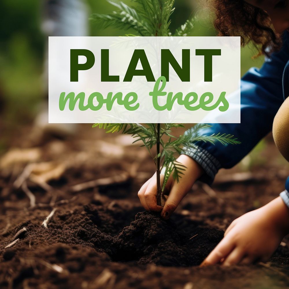 Plant more trees Instagram post