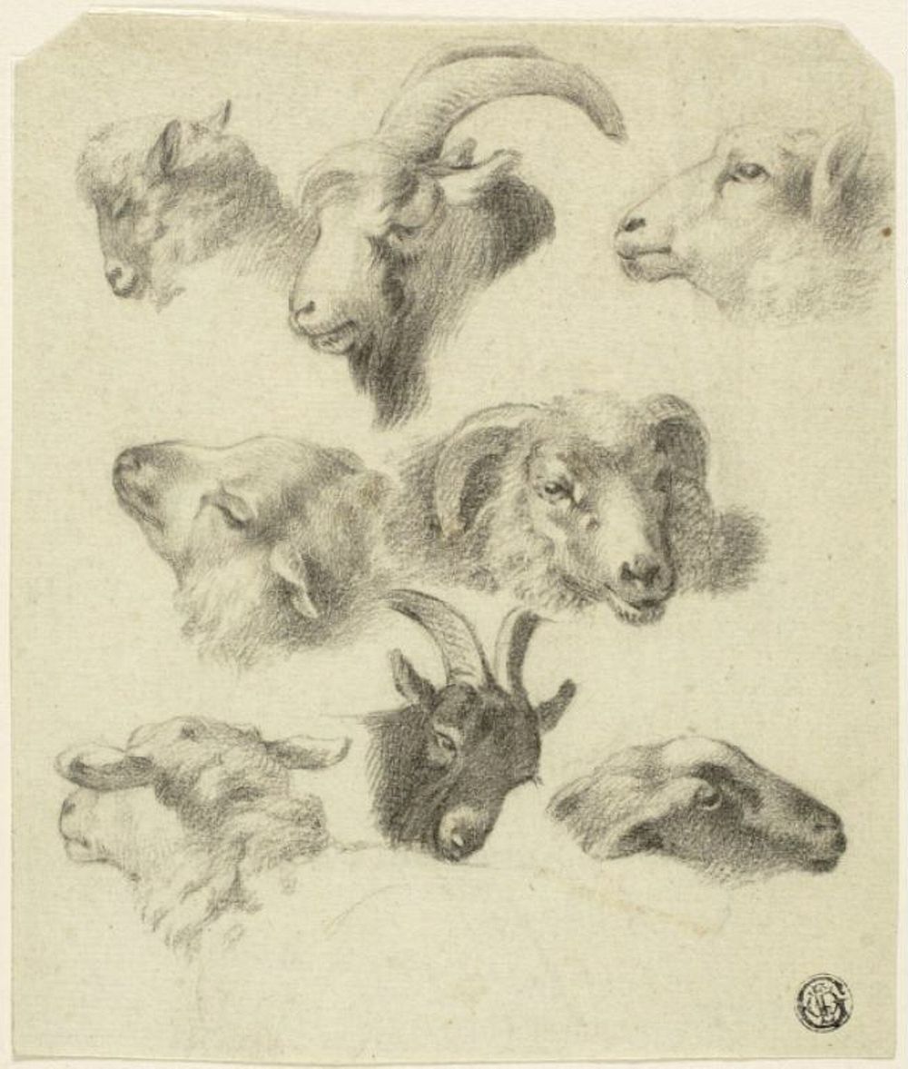 Sketches of Mountain Sheep by Charles Landseer