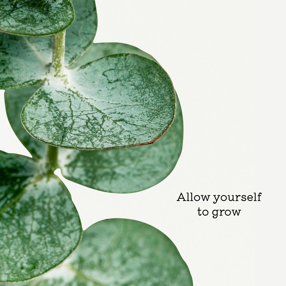 Allow yourself to grow quote Instagram post template