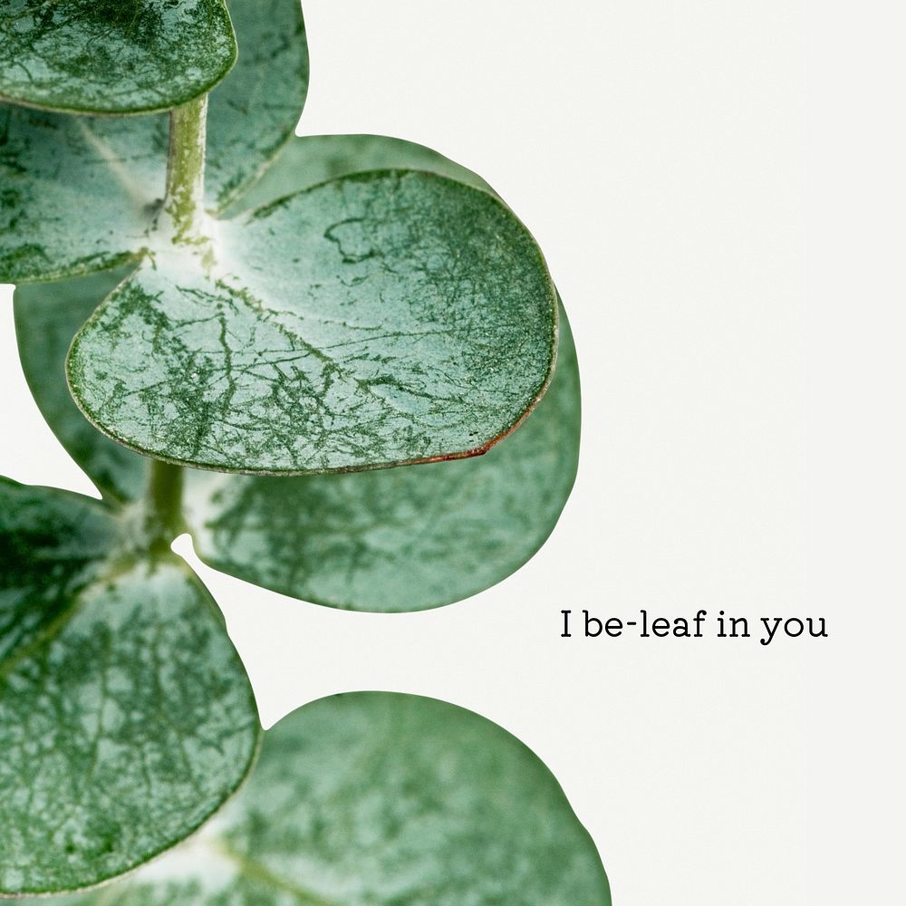 I be-leaf in you quote Instagram post template