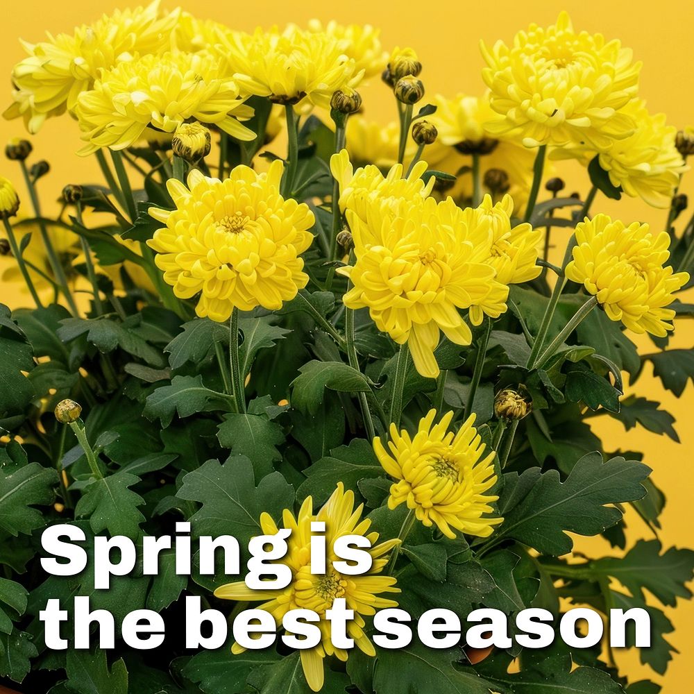 Spring quote Instagram post template