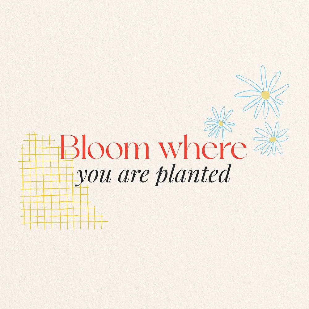 Bloom where you are planted quote Instagram post template