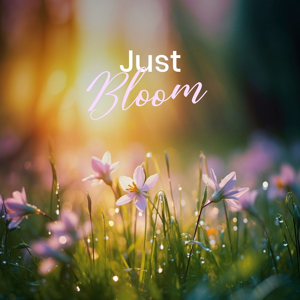  Bloom, positivity quote Instagram post 