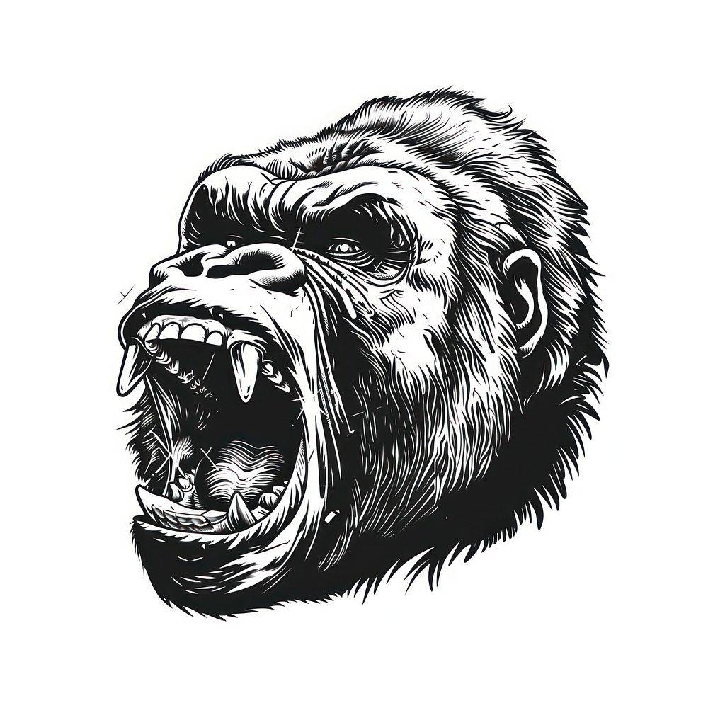 Gorilla drawing illustrated wildlife Free Photo Illustration rawpixel