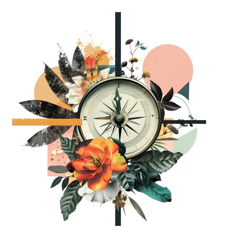 Pattern compass flower creativity.